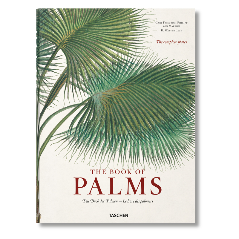 Книга The Book of Palms  в Казани | Loft Concept 