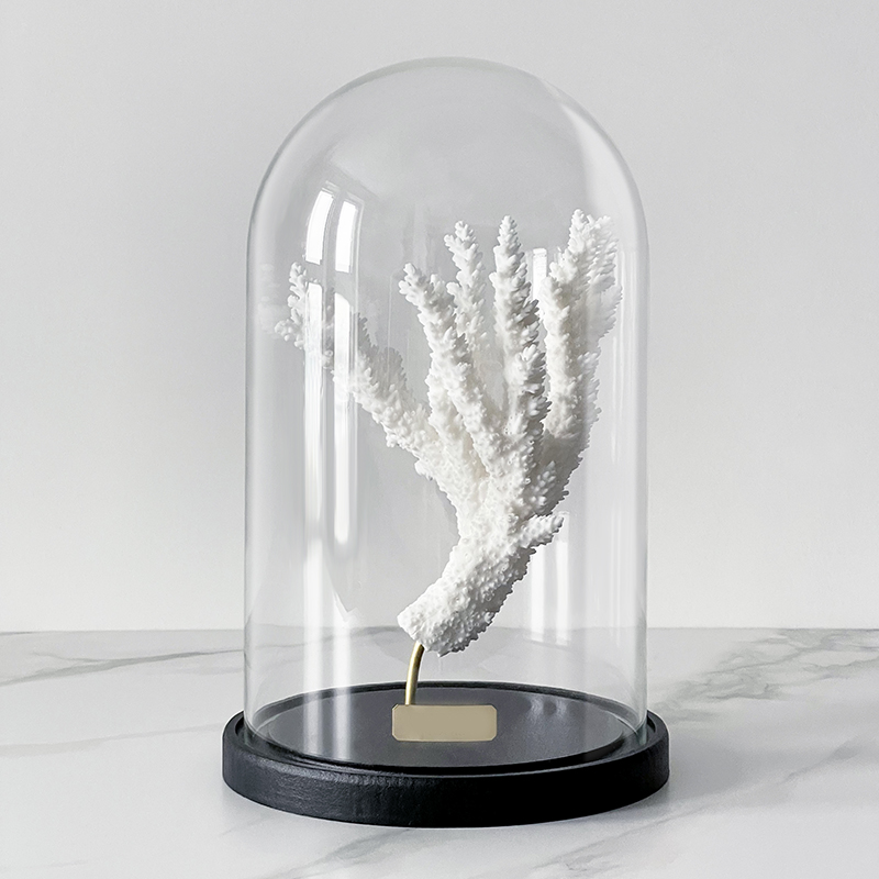 Статуэтка Natural Coral Branch Glass Cloche  в Казани | Loft Concept 