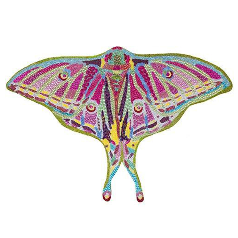 Картина “Spanish Moon Moth Butterfly Cut Out” Мульти в Казани | Loft Concept 