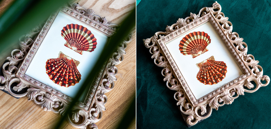 Постер Red Scallop Poster - Loft-Concept в Казани