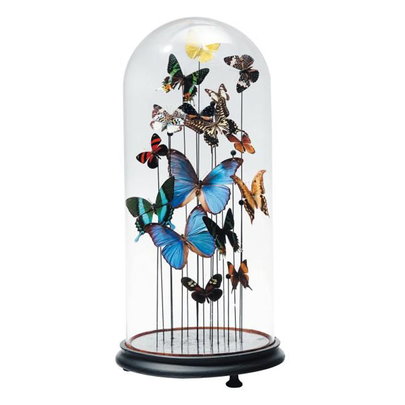 Статуэтка 15 Butterflies Glass Cloche  в Казани | Loft Concept 