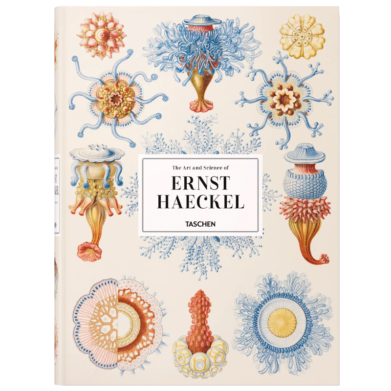 The Art and Science of Ernst Haeckel XXL  в Казани | Loft Concept 