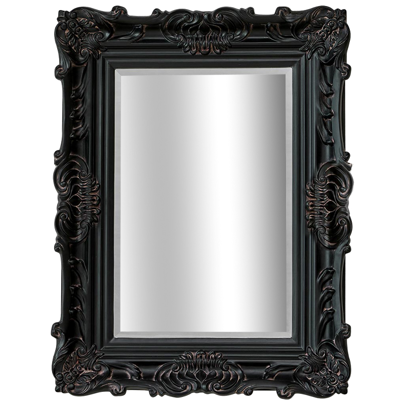 Зеркало Aryan Provence Mirror Black Черный Коричневый в Казани | Loft Concept 