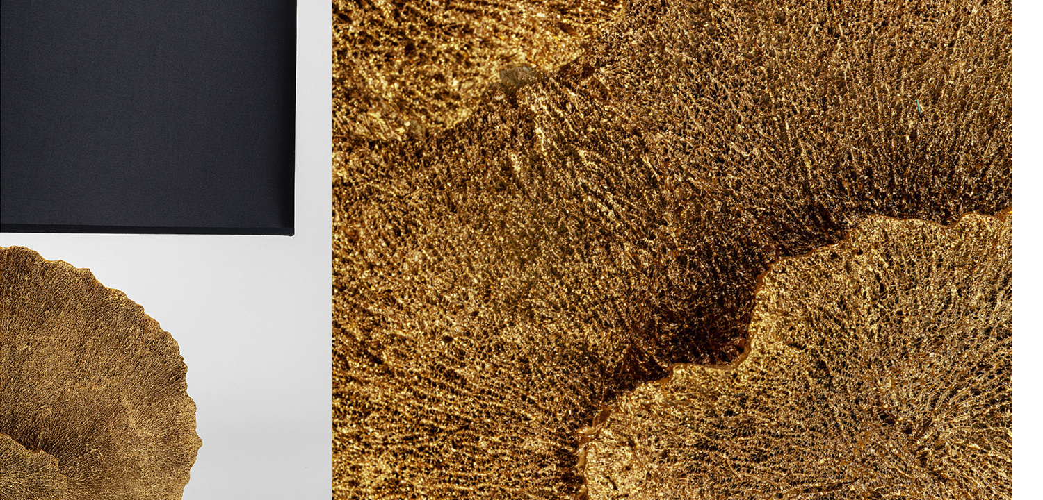 Настольная лампа Golden Coral - фото