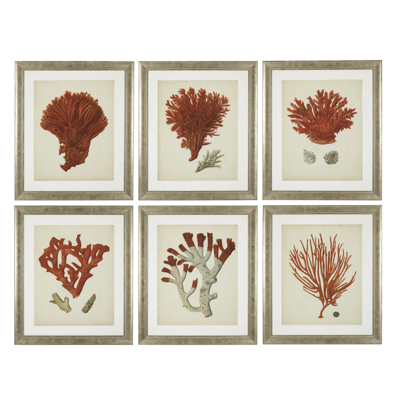 Комплект постеров Eichholtz Prints Antique Red Corals set of 6 Сатиновое Серебро Коралловый Бежевый Комплект постеров Eichholtz Prints Antique Red Corals set of 6 Сатиновое Серебро Коралловый Бежевый в Казани | Loft Concept