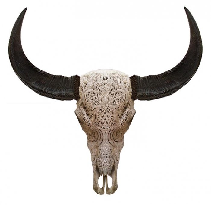 Череп буйвола с резьбой Buffalo Skull Tribal Carving Белый в Казани | Loft Concept 