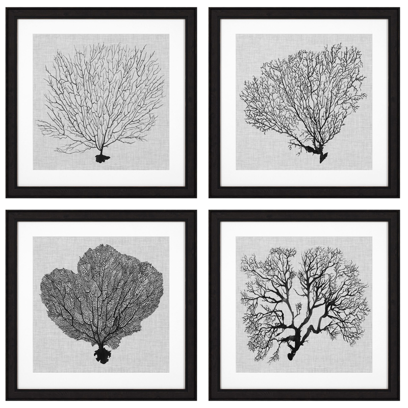 Комплект постеров Eichholtz Prints Shadow Sea Fans set of 4 Черный Черно-белый в Казани | Loft Concept 