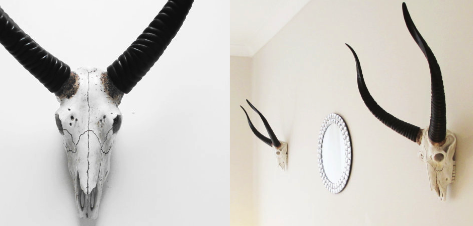 Череп антилопы с черными рогами - Loft-Concept в Казани