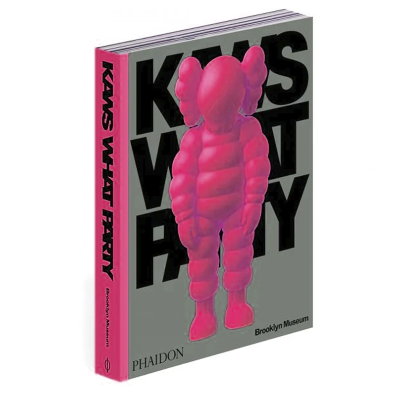 KAWS: What Party PINK Limited Edition в коробке Розовый Серый в Казани | Loft Concept 