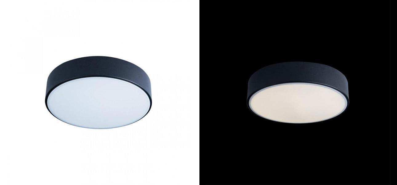 Потолочный светильник Maelis Black диаметр 23 - фото №1