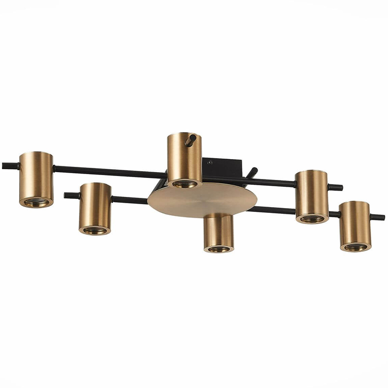 Потолочный светильник Aigle Ceiling Light 6 Черный Латунь в Казани | Loft Concept 