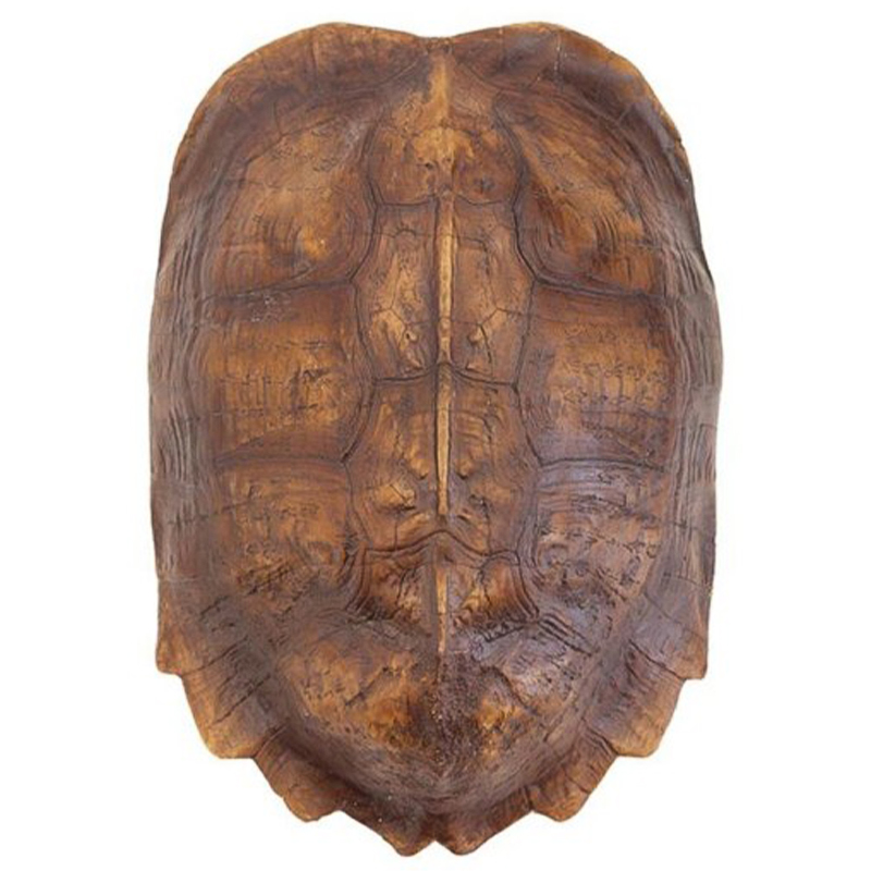 Аксессуар Turtle Shell Natural Light Brown Коричневый в Казани | Loft Concept 