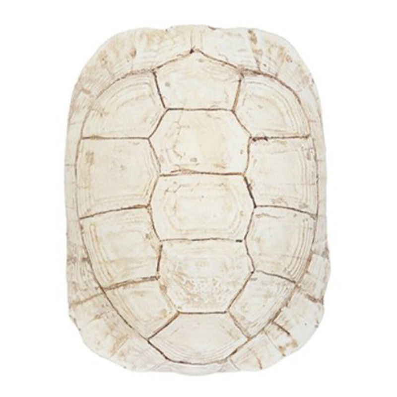 Аксессуар Turtle Shell White Бежевый в Казани | Loft Concept 