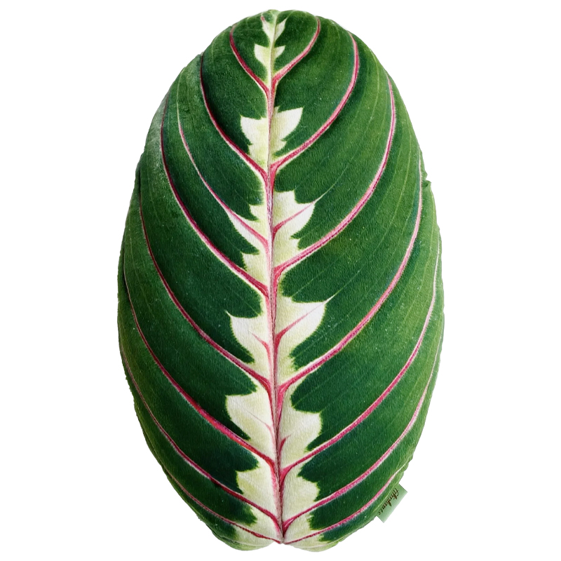 Декоративная подушка Botanical Cushion Maranta Trikolor Зеленый Бургундский красный в Казани | Loft Concept 