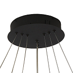 Люстра светодиодная с 3-мя плафонами в форме колец из акрила и алюминия с пультом для регулировки света Ring Horizontal Anthracite варинант исполнения - 5 | Loft Concept в Казани