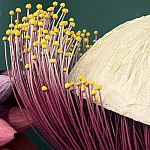 Статуэтка фантастический фрукт Exotic Tropical Fruit orange and white 67 варинант исполнения - 2 | Loft Concept в Казани