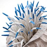 Статуэтка тропический фрукт Tropical Fruit White Blue варинант исполнения - 1 | Loft Concept в Казани