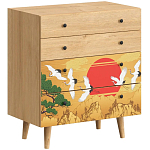 Комод с принтом на ящиках Elise Chest of Drawers варинант исполнения - 16 | Loft Concept в Казани