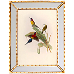 Постер с изображением птиц и цветов в зеркальной раме Blooming Birds Poster варинант исполнения - 4 | Loft Concept в Казани