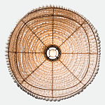 Подвесной светильник в виде купола декорированный белыми деревянными бусинами White Wooden Beads Hanging Lamp варинант исполнения - 4 | Loft Concept в Казани