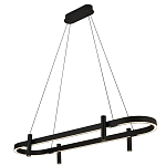 Люстра подвесная овальная черная  Black Light Fixtures варинант исполнения - 1 | Loft Concept в Казани