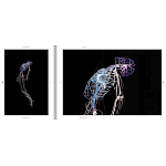 Монография художника Tavares Strachan - There is Light Somewhere варинант исполнения - 6 | Loft Concept в Казани