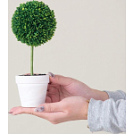 Декоративный искусственное растение Boxwood One варинант исполнения - 6 | Loft Concept в Казани