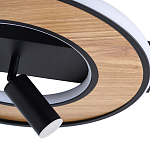 Потолочный светильник круглый GAVIN WOOD варинант исполнения - 2 | Loft Concept в Казани