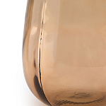 Ваза в виде бутыли TRANSPARENT FORMS 36 варинант исполнения - 5 | Loft Concept в Казани