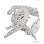 Статуэтка краб с детализированной текстурой в белом цвете Marine Accessories варинант исполнения - 4 | Loft Concept в Казани