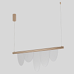 Люстра подвесная с пятью прозрачными элементами в форме лепестков и золотистым металлическим основанием DALI Tonin Casa варинант исполнения - 2 | Loft Concept в Казани