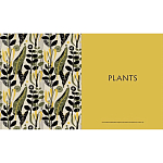 Книга The V&A Sourcebook of Pattern and Ornament варинант исполнения - 4 | Loft Concept в Казани