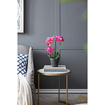 Декоративный искусственное растение Pink orchid варинант исполнения - 8 | Loft Concept в Казани