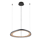 Люстра светодиодная  Iris варинант исполнения - 2 | Loft Concept в Казани