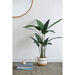 Декоративный искусственное растение Decor Stile  варинант исполнения - 7 | Loft Concept в Казани