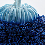 Статуэтка Синий тропический фрукт Tropical Fruit Pandora 1 варинант исполнения - 4 | Loft Concept в Казани