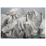 Alexander McQueen: Savage Beauty варинант исполнения - 2 | Loft Concept в Казани