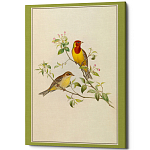Постер на холсте с изображением птиц Blooming Birds Poster варинант исполнения - 12 | Loft Concept в Казани