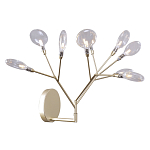 Бра в виде ветвей с прозрачными круглыми плафонами Moooi варинант исполнения - 1 | Loft Concept в Казани