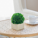 Декоративный искусственное растение Square boxwood варинант исполнения - 6 | Loft Concept в Казани