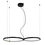 Люстра подвесная светодиодная черный металл Ring Horizontal варинант исполнения - 9 | Loft Concept в Казани