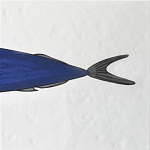 Плитка с узором Рыба пловчиха варинант исполнения - 6 | Loft Concept в Казани