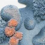 Тканый вручную Большой абстрактный гобелен Frost Forest варинант исполнения - 1 | Loft Concept в Казани