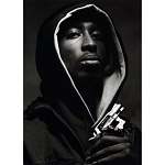 Подарочная книга величайший фотограф Альберт Уотсон The Vienna album Albert Watson варинант исполнения - 2 | Loft Concept в Казани