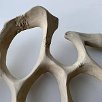 Блюдо «Бежевый коралл» варинант исполнения - 3 | Loft Concept в Казани