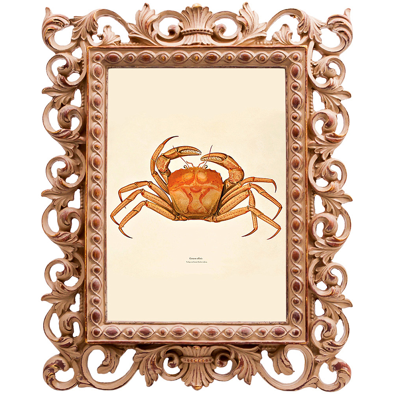 Постер Ocher Crab Poster Бежевый Оранжевый в Казани | Loft Concept 