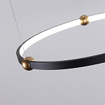 Люстра подвесная светодиодная черный металл Ring Horizontal варинант исполнения - 10 | Loft Concept в Казани