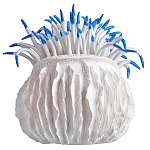 Статуэтка тропический фрукт Tropical Fruit White Blue варинант исполнения - 3 | Loft Concept в Казани