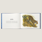 Лимитированная подарочная книга HERMES Fierce and Fragile book, English version варинант исполнения - 3 | Loft Concept в Казани