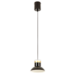 Подвесной светильник Celevis Black варинант исполнения - 2 | Loft Concept в Казани